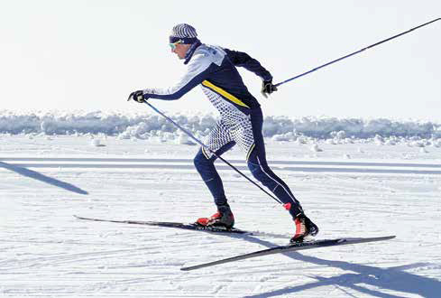 Schlittschuh. Dynamisch