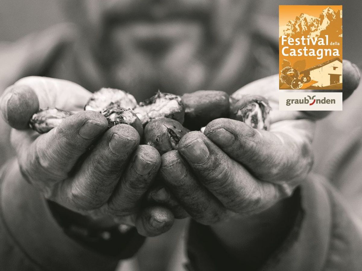 Festival della Castagna